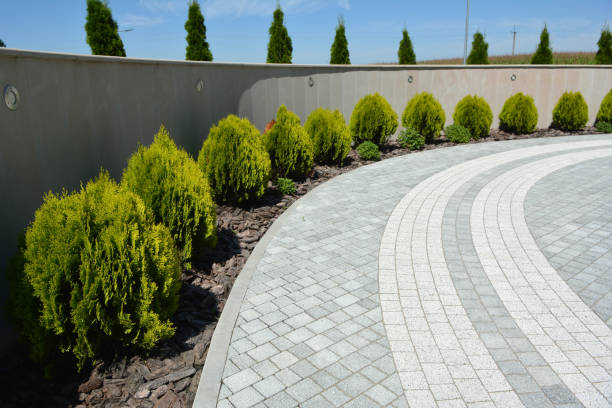 Best Driveway Paving Company  in Durant, IA